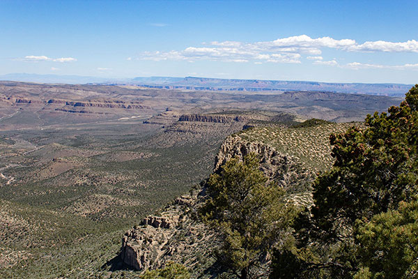 Northeast towards the western end of the Grand Canyon