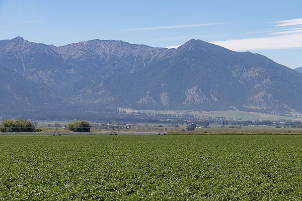 Maxwell Mountain (left of center) and Hunt Mountain (right of center) from the Baker Valley.