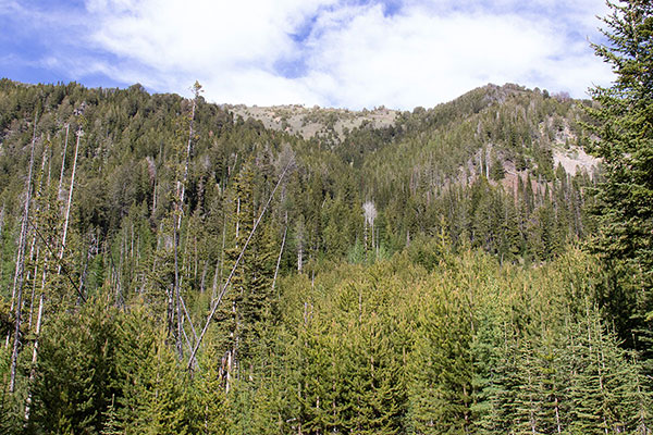 The Highland Trail climbs western slopes of Maxwell Mountain to "Highland Pass" high above.