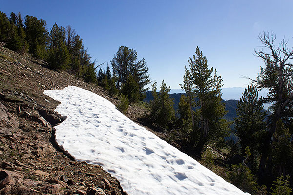 My view northeast towards Hunt Mountain from Highland Pass.