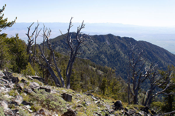 Hunt Mountain comes into better view as I traverse across the SE slopes of Maxwell Mountain