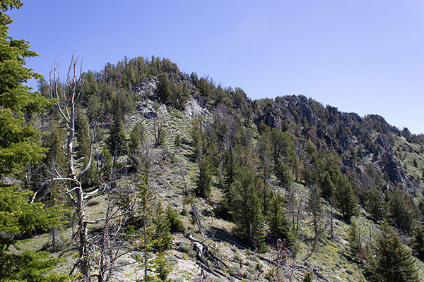 At the saddle between the peaks I decide to climb to the left of the cliffs above.