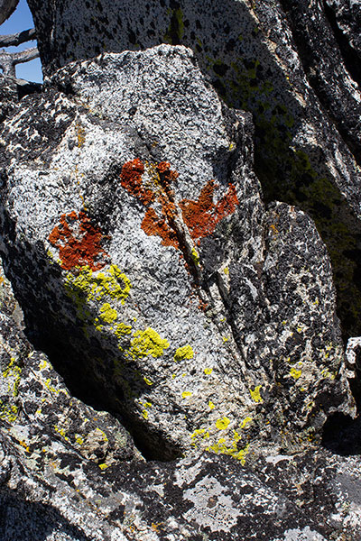 Lichen decorates the summit rocks.