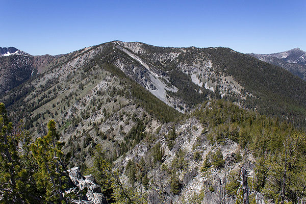 The view of Maxwell Mountain and its Northeast Ridge from Hunt Mountain.