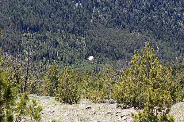 My Jeep in view far below in the forest opening from just below Highland Pass.