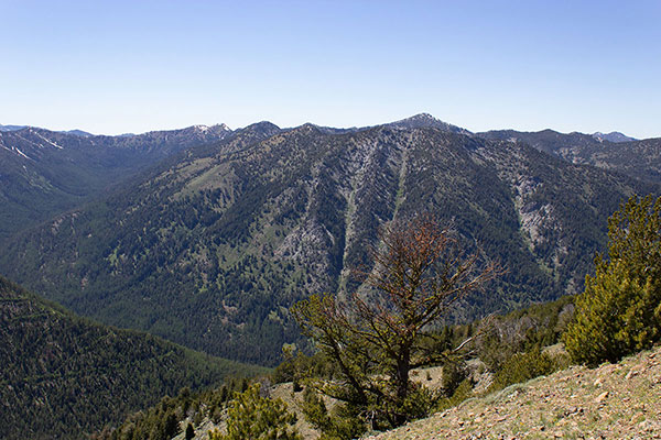 High on the Highland Trail I note three more Elkhorn Range peaks to visit soon.