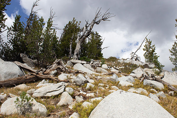 I approach the summit of Chloride Ridge East Peak.