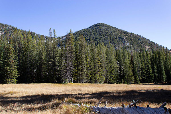 Chloride Ridge West Peak from Mayflower Meadow