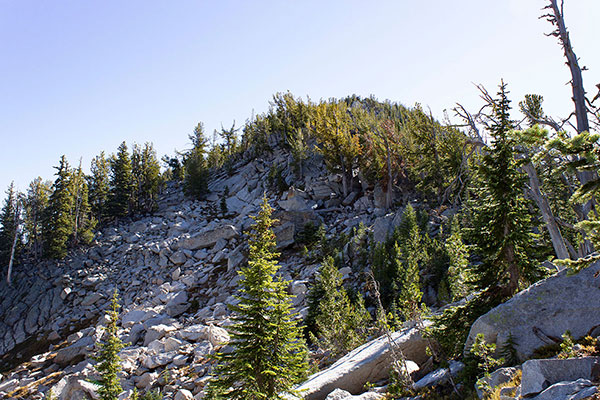 I followed an open, rocky slope to the left (north) side of the ridge as far as I could.