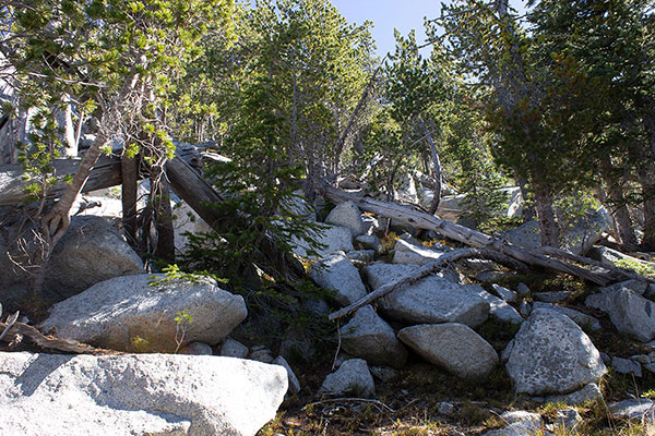 On the south side I climbed over boulders through open forest