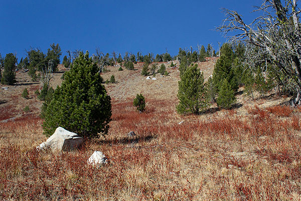 The upper east slope of Summit Point