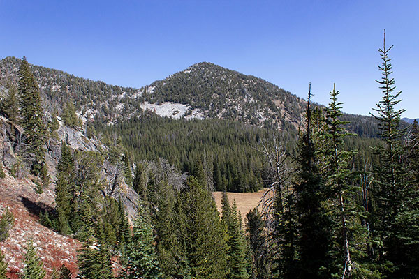 Chloride Ridge West Peak above Mayflower Meadow