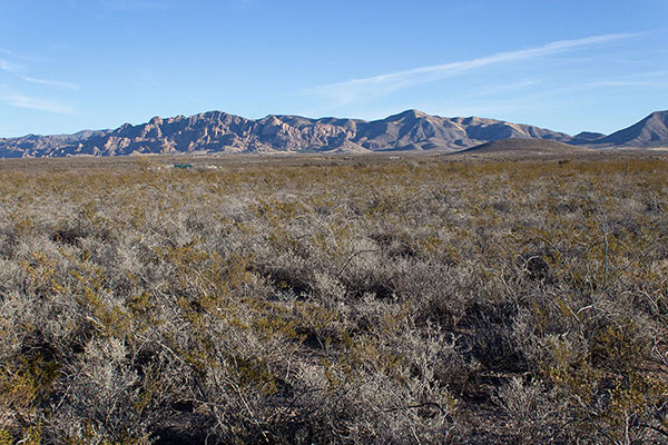 Cochise Stronghold, China Peak, and Sala Benchmark from Middlemarch Road