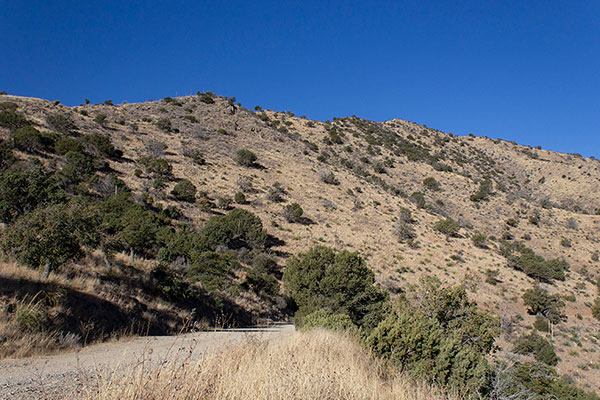 From Middlemarch Pass I climbed a steep slope to my left to gain the Southeast ridge above