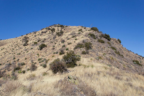 Climbing low on the Southeast Ridge, I found the unmaintained trail to my left