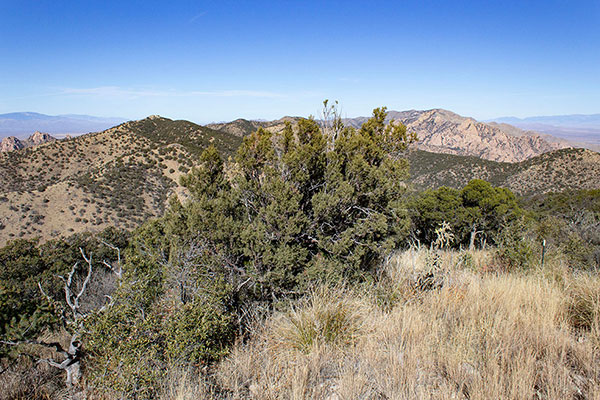 The Northern Dragoon Mountains from Sala Benchmark