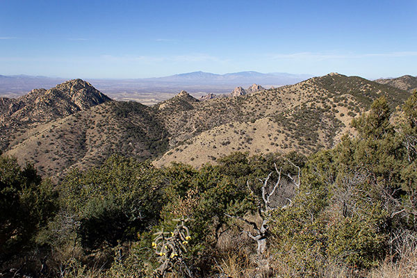 The Rincon Mountains and China Peak on the right to the northwest