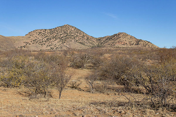 OK Notch Peak from near Gleeson Road