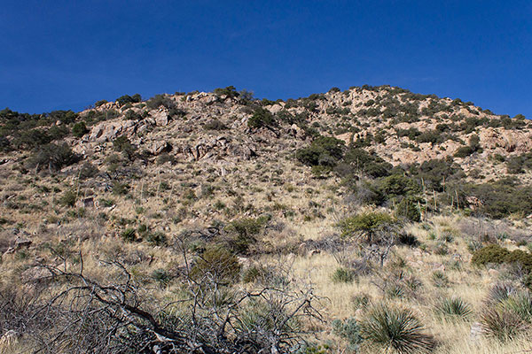 The East Buttress of OK Notch Peak, my ascent route