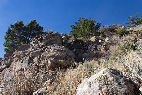 Midway up the steep, grassy, and loose East Buttress; at least the climbing was easy