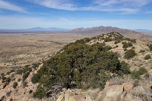 The Rincon and Dragoon Mountains to the northwest