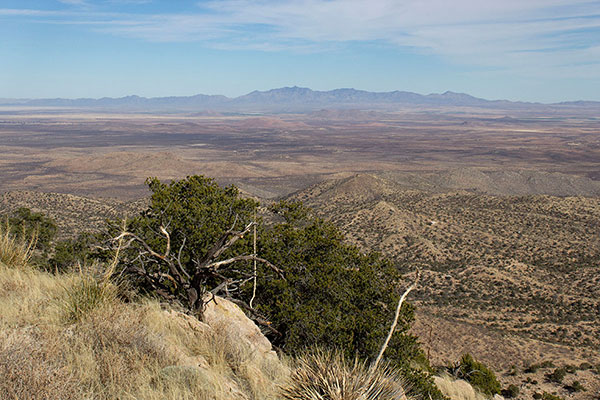 The Dos Cabezas Mountains to the NNE