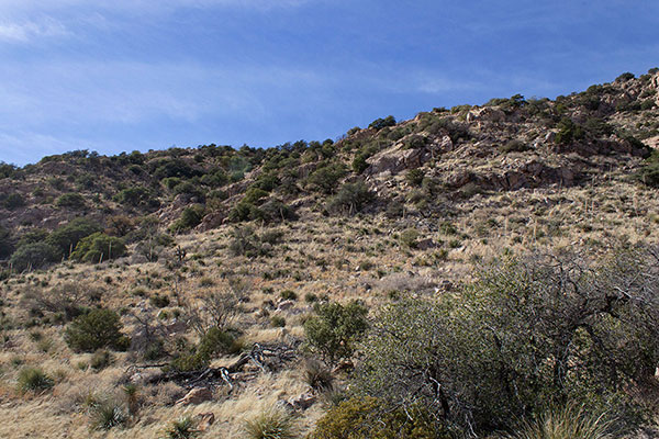 I look back up my descent gully to the left of my ascent buttress